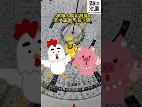 豬 五行